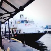 わっはっは