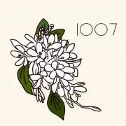 IOO7の画像