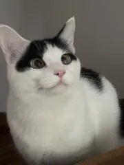 うる(=^ェ^=)