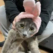 ^_^