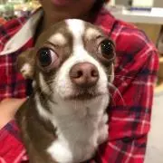 お豆の力