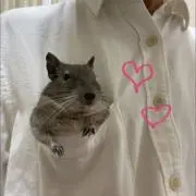 薫の画像