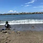 かにゃ