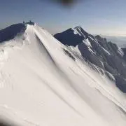 スイカ