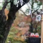 oasisの画像