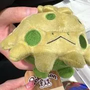ちゃぴの画像