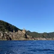 りん*°