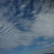 まあるの画像