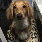 モカの画像