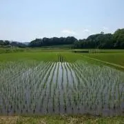 BEERの画像