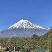 ヤムチャの画像