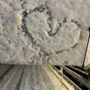 のろんの画像
