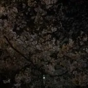 ♡の画像