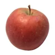 D.Oの画像
