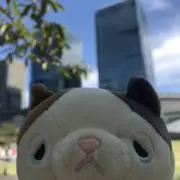 ひらめの画像