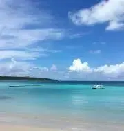 sunny ysの画像