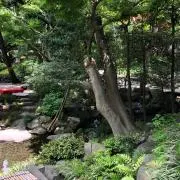 あさひの画像
