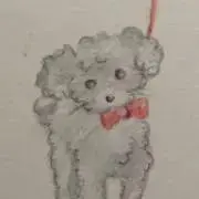 myumyuの画像