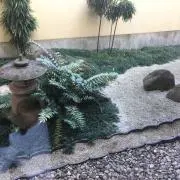 鳥八