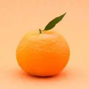 みかんたろうの画像