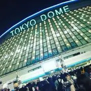 えりの画像
