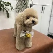 M❤︎の画像