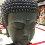 もりモリ