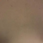 みさくの画像