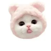 あーちゃまの画像