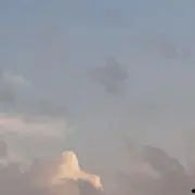 びびの画像