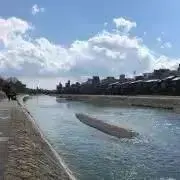 DUNKe23_の画像