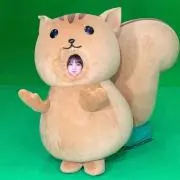 はっちー