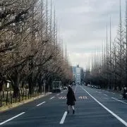 チ葉の画像