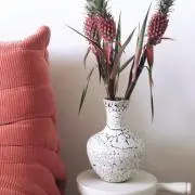 ELLEの画像