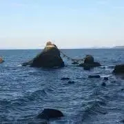 しん