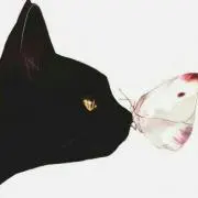 のり