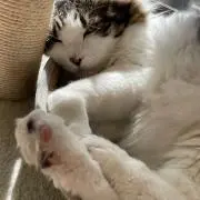 テテ♥︎の画像