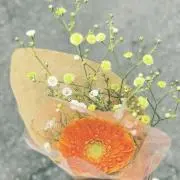 クリームパンの画像