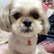 ゆかりん(プロフィール一読願います！)の画像