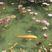 ♡の画像
