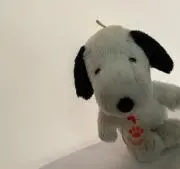 桃の画像