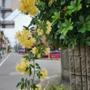 mttnの画像