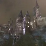 チリチリボンの画像
