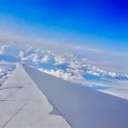 おもちの画像