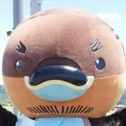 nemunemuの画像