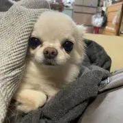 コタロウ