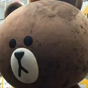 ブラウンの画像