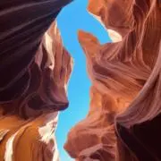USA 断捨離中の画像