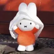うさこの画像
