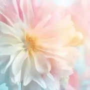 ユウの画像